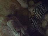 Мои❤️