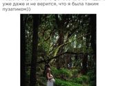 Внимание! Фейк!