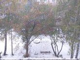Да здравствует первый снег ❄ ❄ ❄