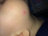Девочки, у сына какой