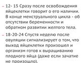 Узи и БТ