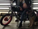 Фотосессия