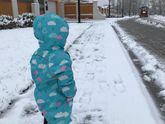 Снег