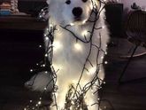 Всех католиков с Рождеством😍🎄
