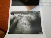 Наш новогодний сюрприз