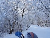 Выбираю прогулку дочке.