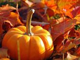 Жаркое в тыкве 🎃🍽🤤