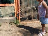 Доброе утро,девочки)