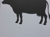 Книга по развитию от рождения до года.