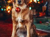 С Новым 2018 Годом!!!