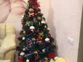 Новый Год ваша елочка