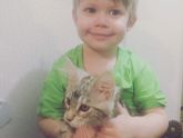 Котёнок МЕЙНКУН Красноярск дешего