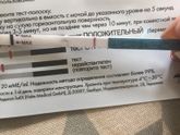 Эвмитест