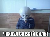 Картинки для смеха