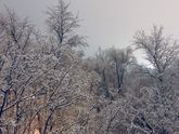 Зимушка