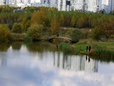 Осень. Прогулка.
