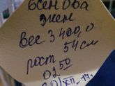 Субxаналлаx,я родила!