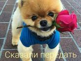 3 СКРИНИНГ