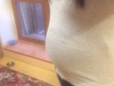 Как думаете по животику кто мальчик или девочка?