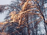 Прогулка❄️❄️❄️❄️