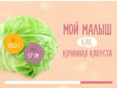 Моя любимая капуста)))) Как