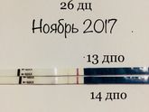 Тест Эви