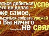И это правда!!