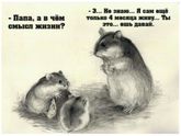 Доброе бессонное утро красавицы!?!?!