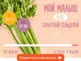 39 неделя))