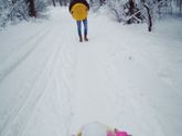 Сегодня прекрасный день и