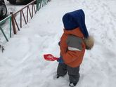 Мысли атакуют