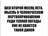 Такое хреновое лето...