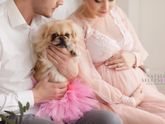 🤰❤🐶
