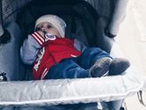 Кормите, холопы...