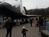 Целый аквариум позитива