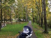 Осень🍂