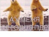 ПДР