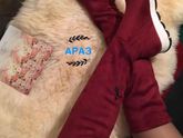 Девочки Волгоград давайте соберем ряд???