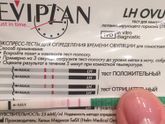 Овуляция или нет???