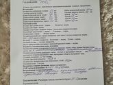 Плацента с множественными гиперэхогенными включениями