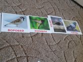 Марафон Краски Пасхи 6
