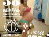38 недель