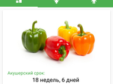 Девочки,завтра для меня волнительный