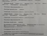 Сделала УЗИ, и рада и не рада
