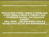 Немного позитива в ленту