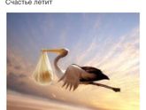 Летит ко всем кто