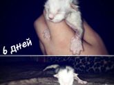 Пока свое дитя не родилось,буду немного о этой крохе рассказывать.
