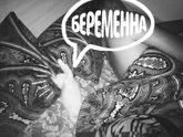 Беременность/роды
