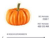 Тыковка моя, выходи!)