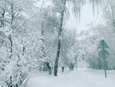 Какая красота...